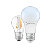 E27 LED-Lampen - 6500K