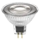 Ledvance Performance Spot LED Réflecteur GU5.3 MR16 5W 345lm 36D - 940 Blanc Froid | Meilleur rendu des couleurs - Dimmable - Équivalent 35W